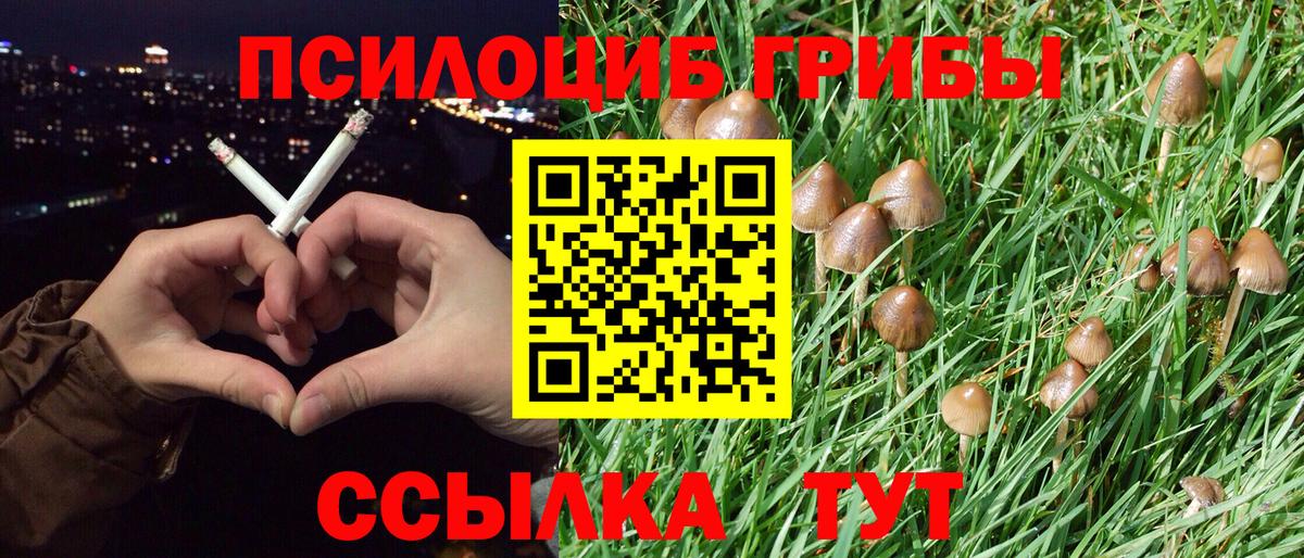 Псилоцибиновые грибы Psilocybine cubensis  Псилоцибиновые грибы Psilocybe  Казань  Вход с VPN 